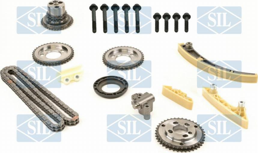 Saleri SIL CK5193 - Комплект цепи привода распредвала autosila-amz.com