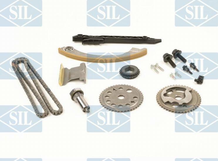 Saleri SIL CK5102 - Комплект цепи привода распредвала autosila-amz.com