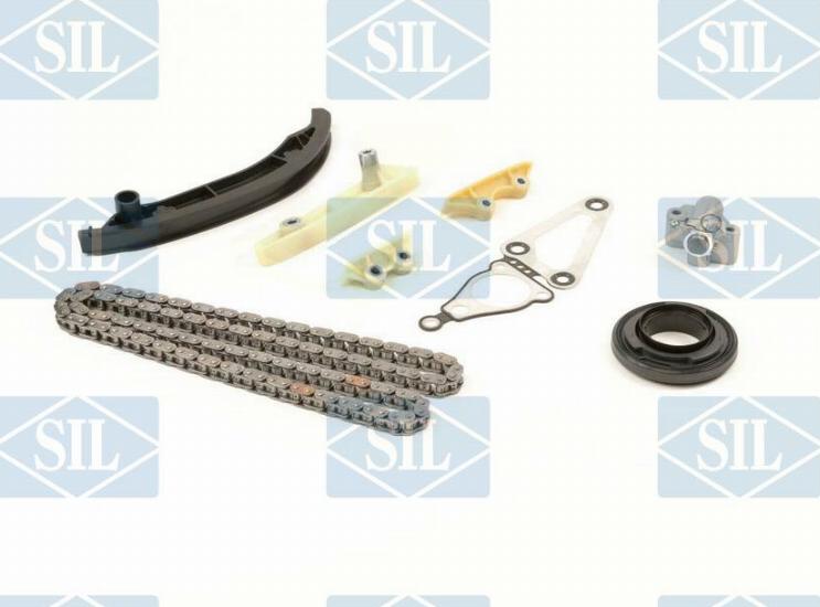 Saleri SIL CK5138 - Комплект цепи привода распредвала autosila-amz.com
