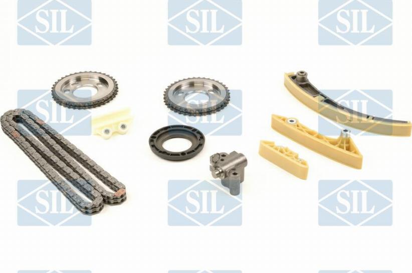 Saleri SIL CK5123 - Комплект цепи привода распредвала autosila-amz.com