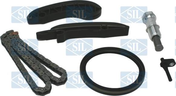 Saleri SIL CK5200 - Комплект цепи привода распредвала autosila-amz.com