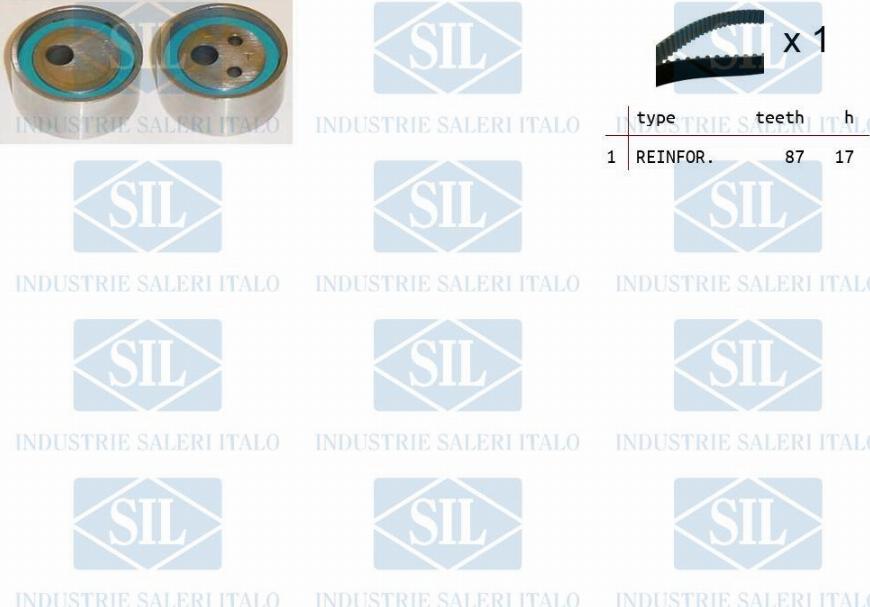 Saleri SIL TK1010 - Комплект зубчатого ремня ГРМ autosila-amz.com