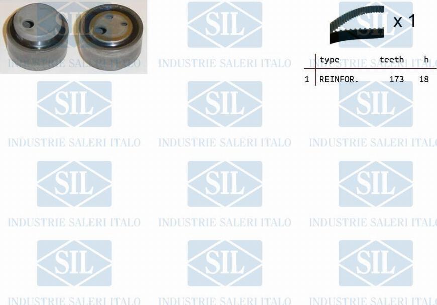 Saleri SIL TK1082 - Комплект зубчатого ремня ГРМ autosila-amz.com