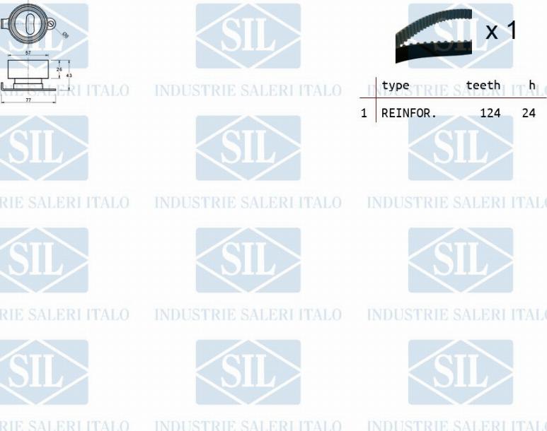 Saleri SIL TK1079 - Комплект зубчатого ремня ГРМ autosila-amz.com