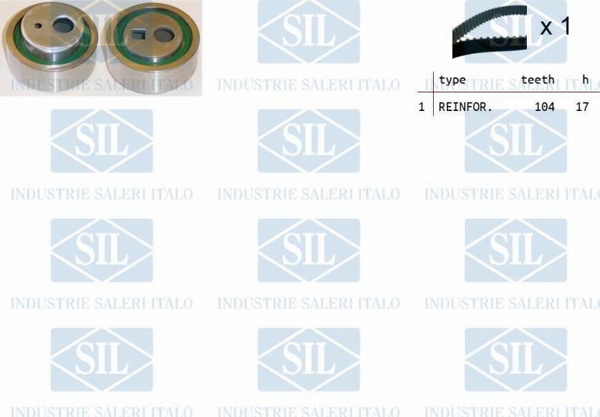 Saleri SIL TK1329 - Комплект зубчатого ремня ГРМ autosila-amz.com