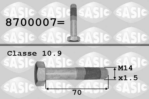 Sasic 8700007 - Болт шкива autosila-amz.com