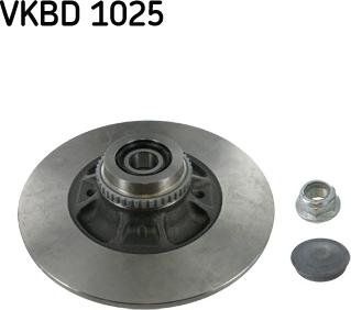 SKF VKBD 1025 - Тормозной диск autosila-amz.com