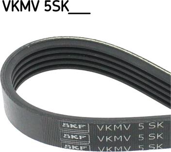SKF VKMV 5SK705 - ремень поликлиновой!\ Ford C-MAX/Focus 04-12, Volvo C30/S40/V50 06-12 autosila-amz.com
