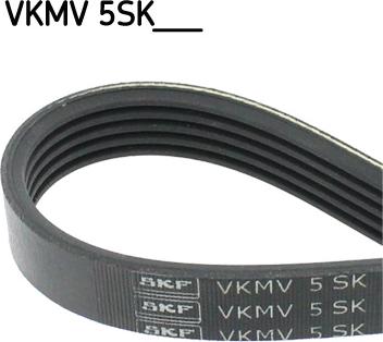 SKF VKMV 5SK716 - Поликлиновой ремень autosila-amz.com