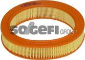 SogefiPro FL4666 - Воздушный фильтр, двигатель autosila-amz.com