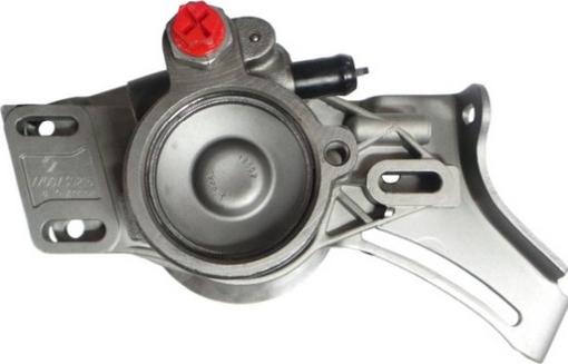 Spidan 53981 - Гидравлический насос, рулевое управление, ГУР autosila-amz.com