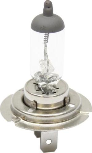 Starline 99.99.928 - Лампа накаливания, противотуманная фара autosila-amz.com