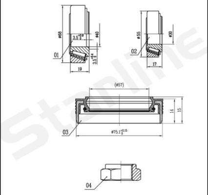 Starline LO 03429 - Комплект подшипника ступицы колеса autosila-amz.com