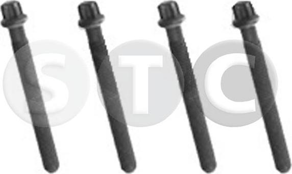 STC T402262 - Центрирующий болт, ременный шкив - коленчатый вал autosila-amz.com