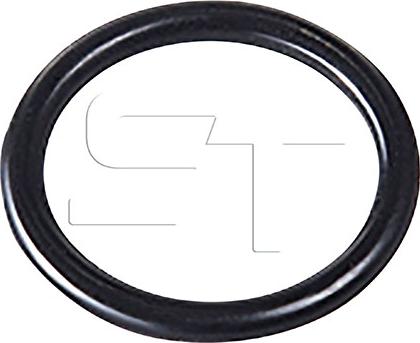 ST-Templin 02.190.0914.250 - Уплотнительное кольцо autosila-amz.com