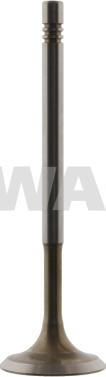 Swag 30 93 2333 - Впускной клапан autosila-amz.com