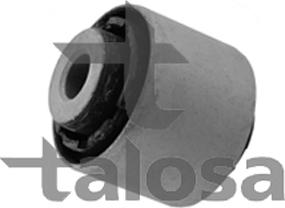 Talosa 64-09028 - Подвеска, корпус колесного подшипника autosila-amz.com