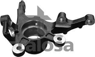 Talosa 79-02601R - Поворотный кулак, подвеска колеса autosila-amz.com