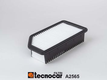 Tecnocar A2565 - Воздушный фильтр, двигатель autosila-amz.com