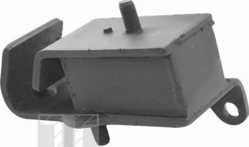 Tedgum 00465542 - Подушка, опора, подвеска двигателя autosila-amz.com