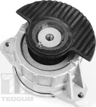 Tedgum 00418476 - Подушка, опора, подвеска двигателя autosila-amz.com