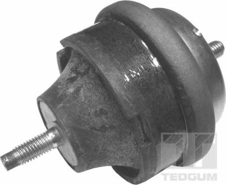 Tedgum 00145015 - Подушка, опора, подвеска двигателя autosila-amz.com
