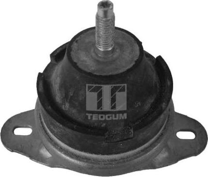 Tedgum 00214163 - Подушка, опора, подвеска двигателя autosila-amz.com