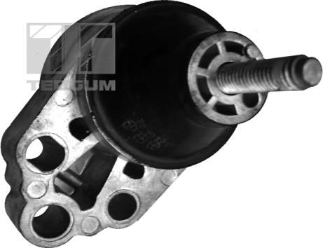 Tedgum 00226305 - Подушка, опора, подвеска двигателя autosila-amz.com