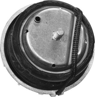 Tedgum TED46098 - Подушка, опора, подвеска двигателя autosila-amz.com