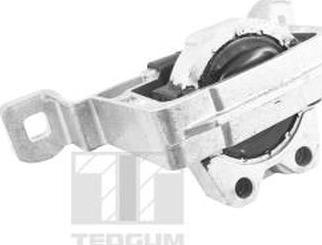 Tedgum TED24027 - Подушка, опора, подвеска двигателя autosila-amz.com