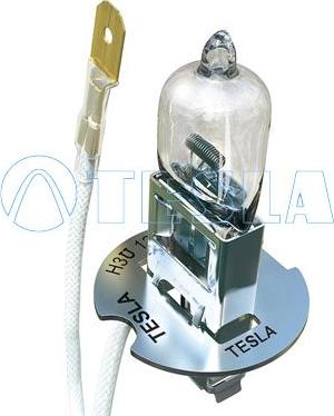 TESLA B10301 - Лампа H3 PK 22s 55W 12V противотуманных фар (галогеновая) TESLA autosila-amz.com