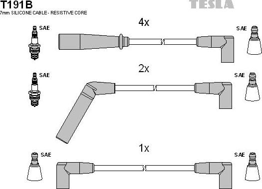 TESLA T191B - Комплект проводов зажигания autosila-amz.com