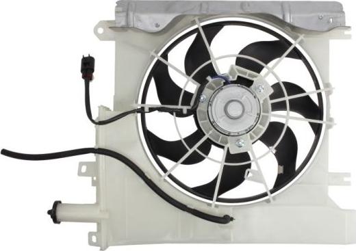 Thermotec D8C008TT - Вентилятор, охлаждение двигателя autosila-amz.com