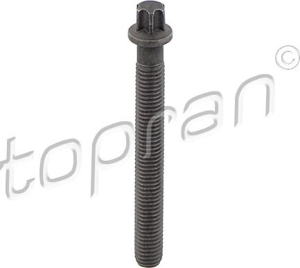 Topran 503 132 - Центрирующий болт, ременный шкив - коленчатый вал autosila-amz.com