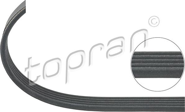 Topran 501 590 - Поликлиновой ремень autosila-amz.com