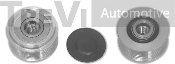 Trevi Automotive AP1006 - Шкив генератора, муфта autosila-amz.com