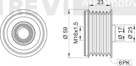 Trevi Automotive AP1163 - Шкив генератора, муфта autosila-amz.com