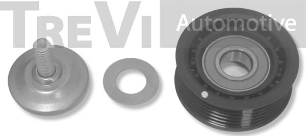 Trevi Automotive TA1502 - Ролик, поликлиновый ремень autosila-amz.com