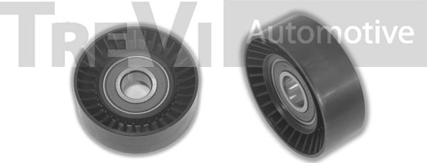 Trevi Automotive TA1604 - Ролик, поликлиновый ремень autosila-amz.com