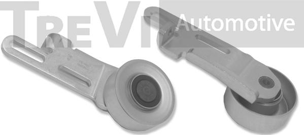 Trevi Automotive TA1061 - Ролик, поликлиновый ремень autosila-amz.com