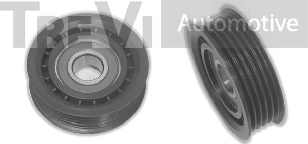 Trevi Automotive TA1362 - Ролик, поликлиновый ремень autosila-amz.com