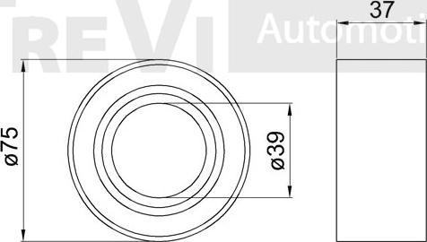 Trevi Automotive WB1630 - Комплект подшипника ступицы колеса autosila-amz.com