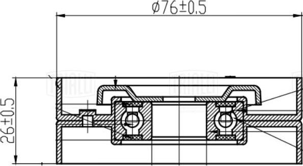 Trialli CM 5409 - Натяжитель, поликлиновый ремень autosila-amz.com