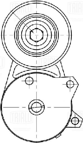 Trialli CM 5754 - Натяжитель, поликлиновый ремень autosila-amz.com
