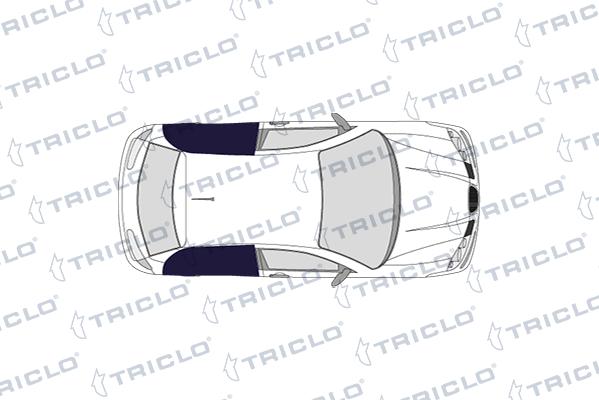 Triclo 131196 - Управление, кнопка центрального замка autosila-amz.com