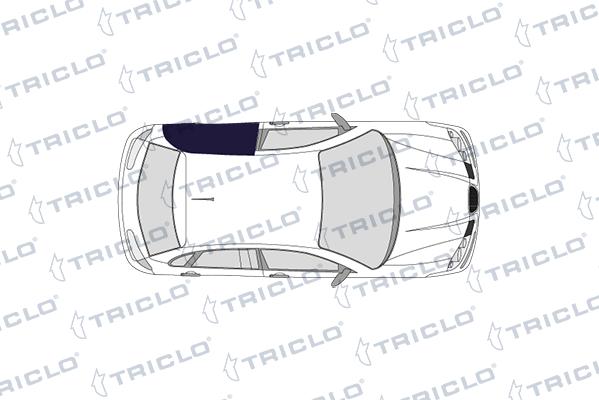 Triclo 113611 - Стеклоподъемник autosila-amz.com