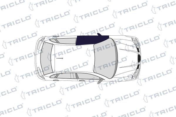 Triclo 143245 - Выключатель, стеклоподъемник autosila-amz.com