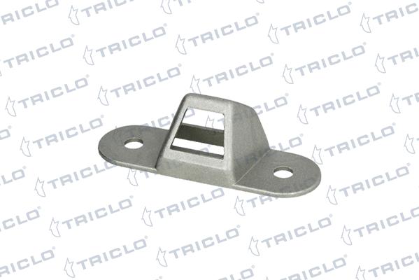 Triclo 134031 - Управление, кнопка центрального замка autosila-amz.com