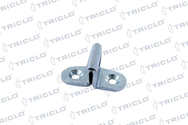 Triclo 131196 - Управление, кнопка центрального замка autosila-amz.com