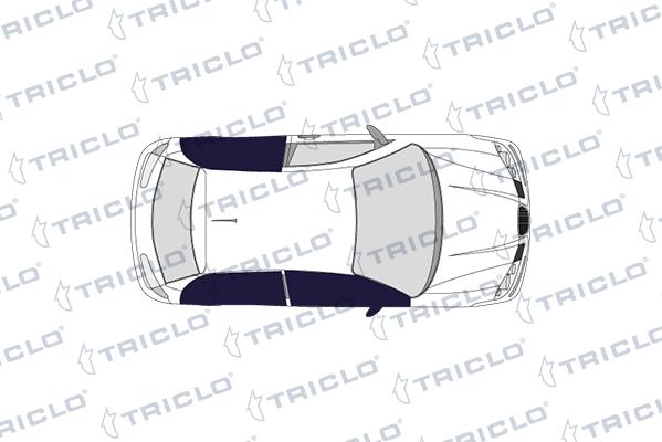 Triclo 143068 - Выключатель, стеклоподъемник autosila-amz.com